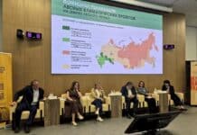 Ученые ВГЛТУ представили экономическую модель лесных климатических проектов Ученые ВГЛТУ представили экономическую модель лесных климатических проектов